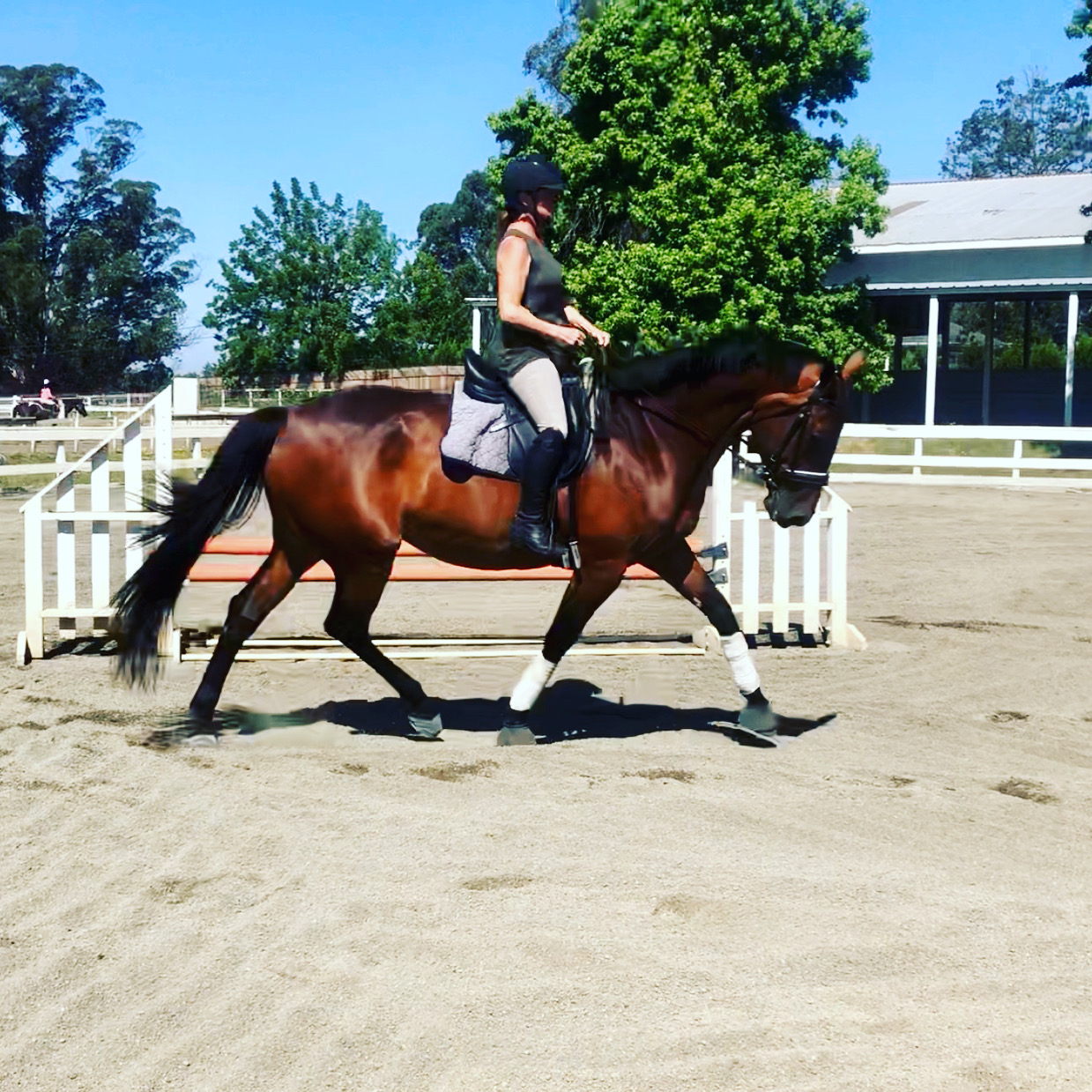 heather-from-golden-gate-equestrian