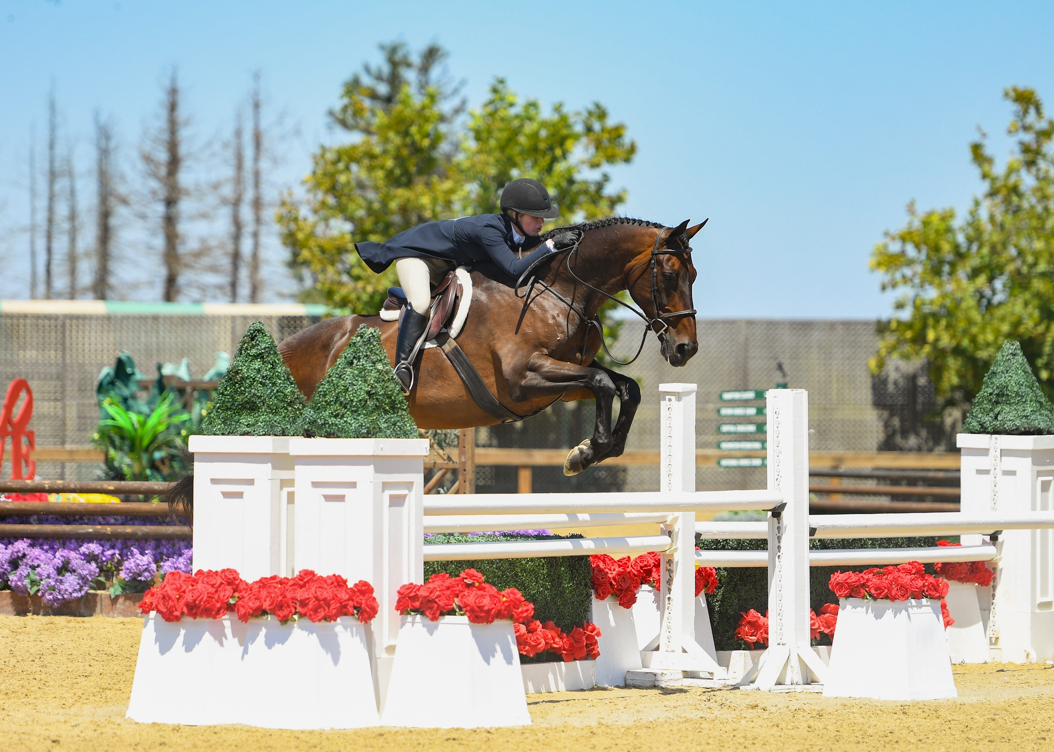 imgi_12_3D7CCFFD-3638-4894-9FFF-3EB634F02DB8