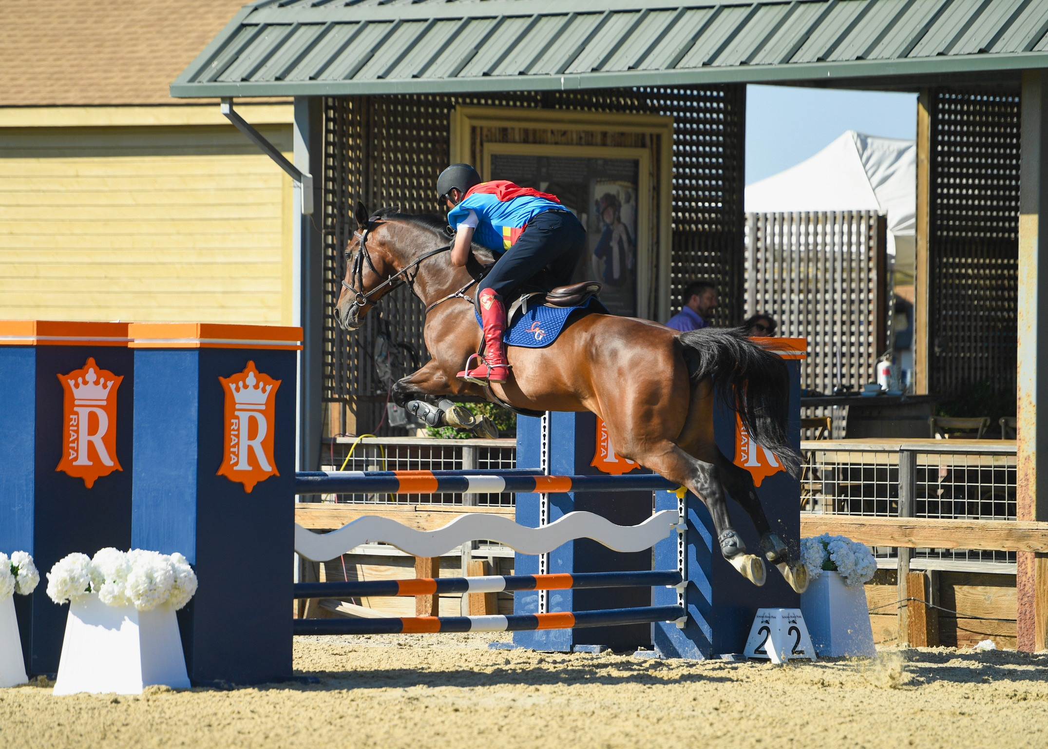 imgi_16_CC1FF8BA-9389-437C-A9F5-B969F227E20F