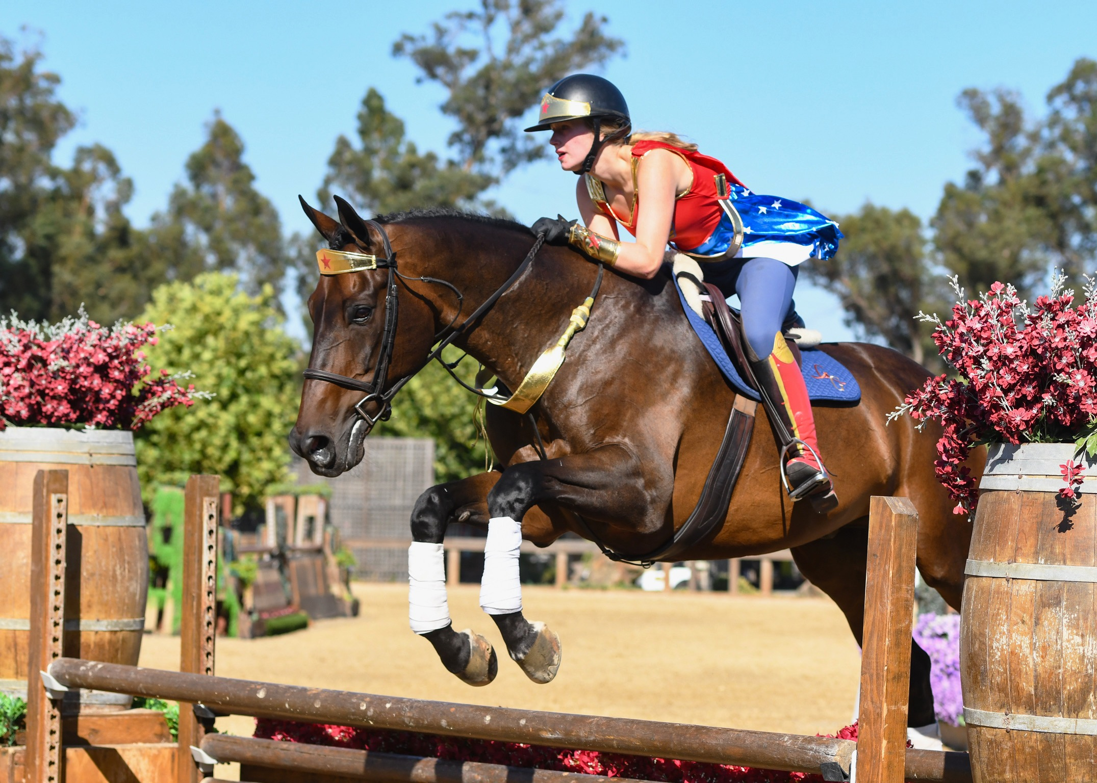 imgi_18_F8843755-02D3-411F-9FB3-AD57F5839BDC