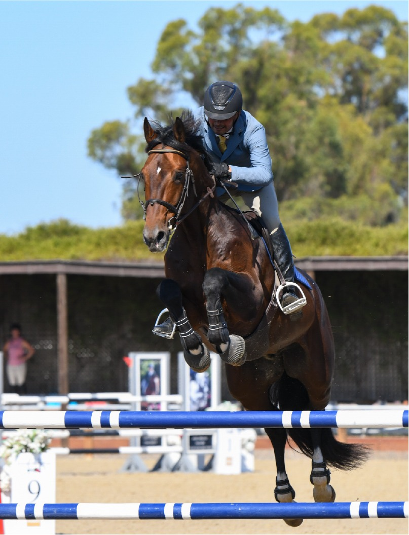 imgi_36_hunter-jumper-training-program