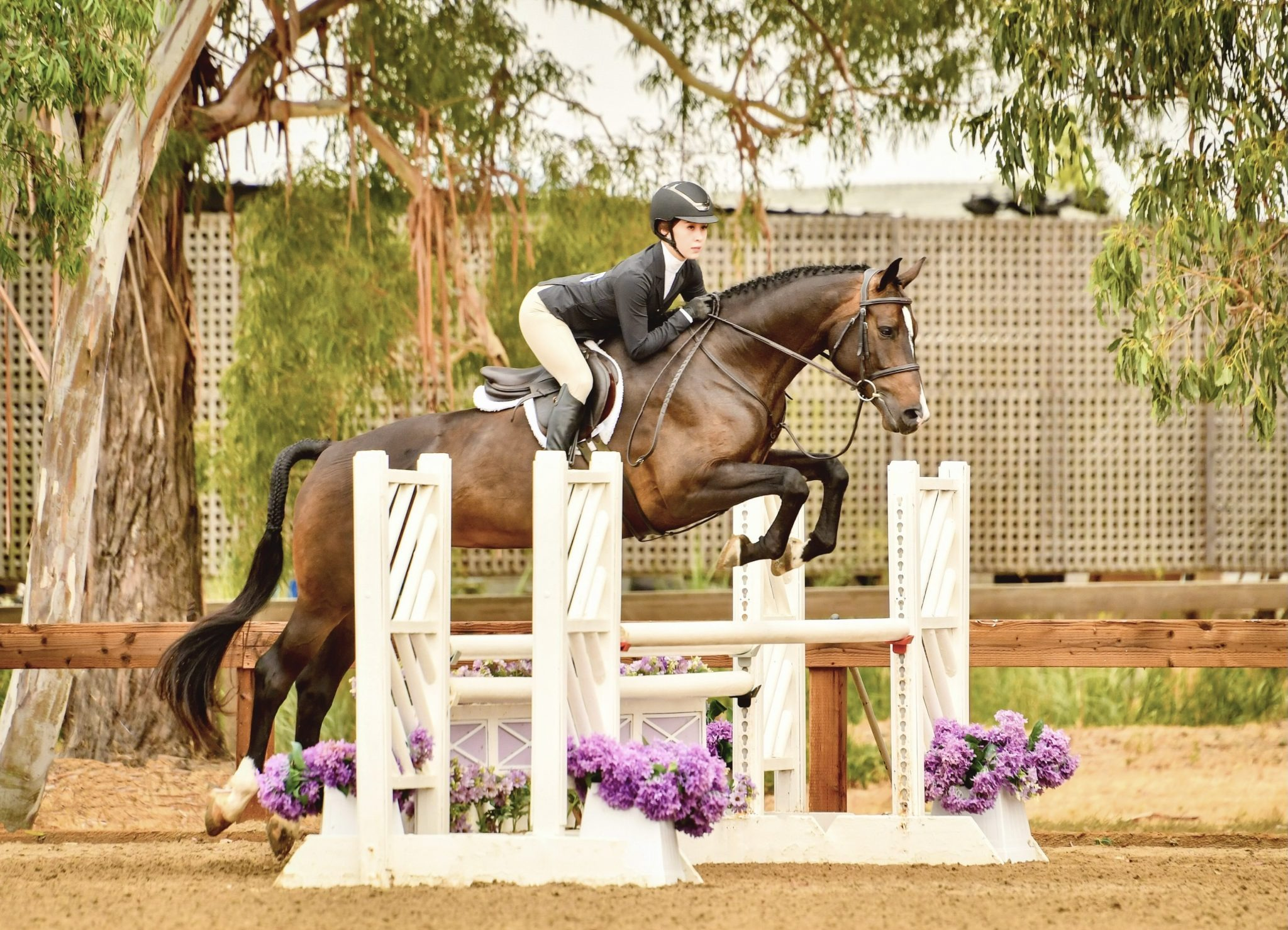 imgi_37_IMG_8771-2048x1478