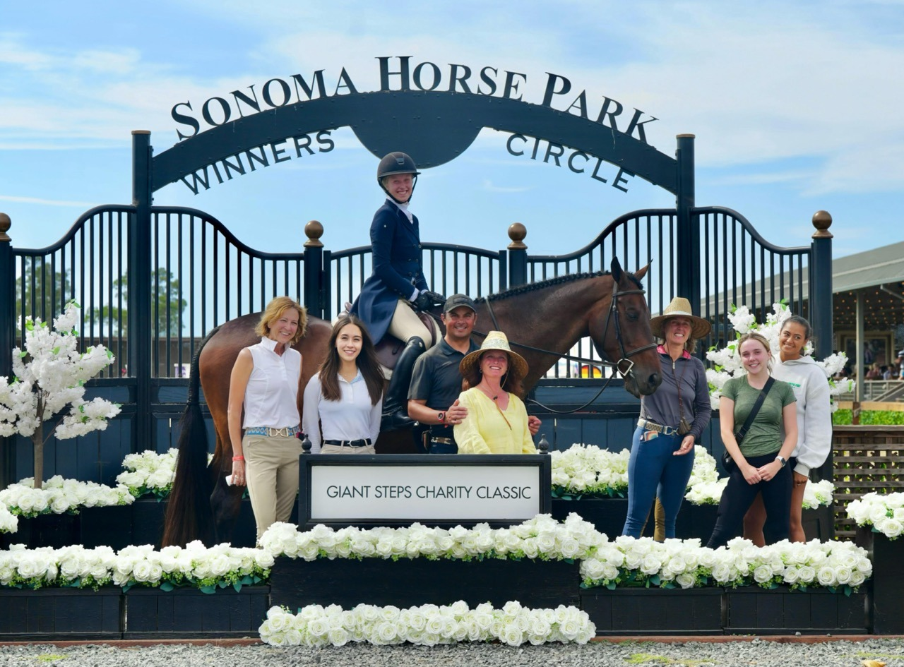 imgi_7_horse-4-Large