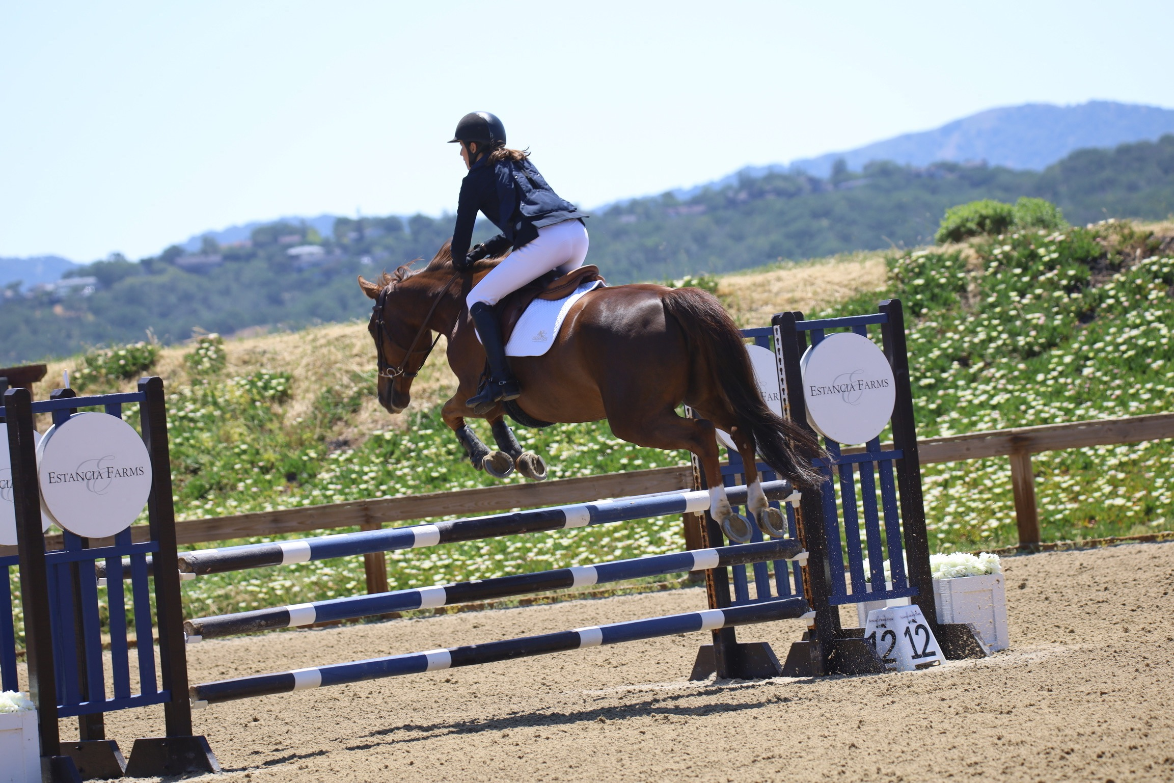 imgi_9_0F50EF4F-113A-4321-B5A6-B1DA2886CAA8